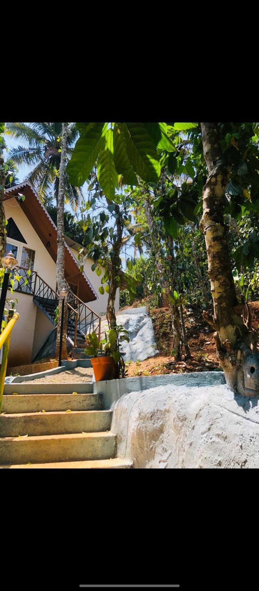 Penzion Wood Castle Munnar Exteriér fotografie